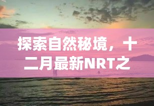 十二月最新自然秘境探索之旅，NRT之旅寻找内心宁静与平和