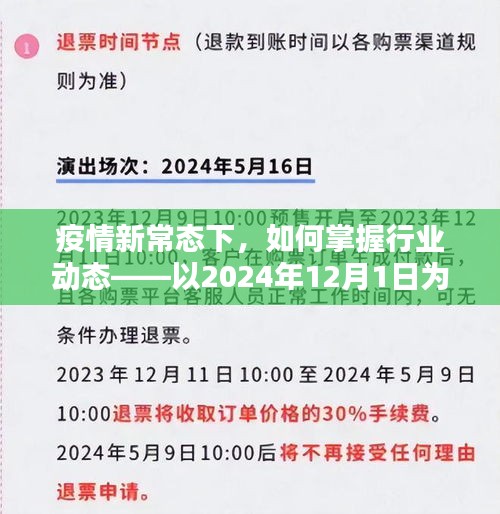 疫情新常态下的行业动态分析，以2024年12月1日为节点的热门行业动态解析步骤指南