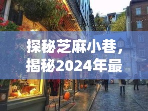 探秘芝麻小巷，芝麻行情与独特小店的魅力风采（2024最新揭秘）