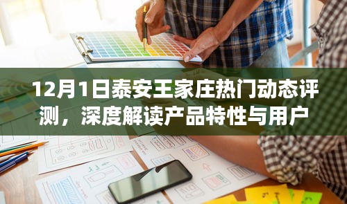 泰安王家庄热门动态评测报告，产品特性与用户体验深度解读（12月1日）