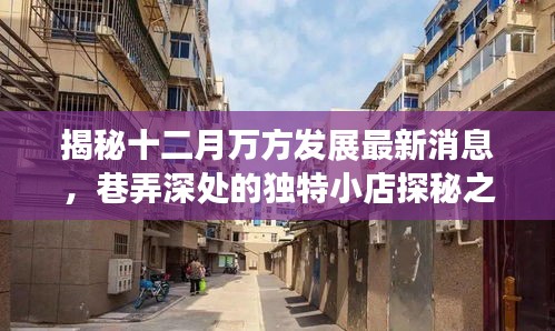 揭秘十二月万方发展动态，独特小店探秘之旅