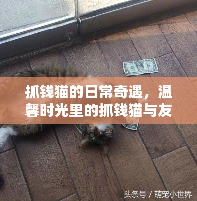 抓钱猫的友情魔法与温馨日常奇遇