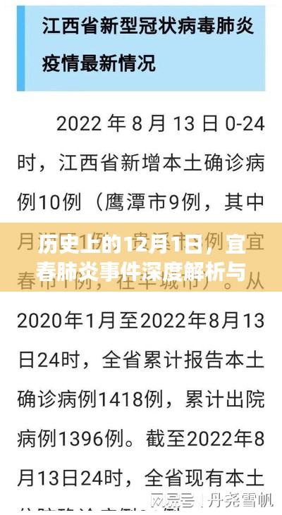 宜春肺炎事件深度解析与观点阐述，历史视角下的12月1日回顾与反思