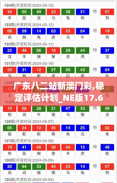 广东八二站新澳门彩,稳定评估计划_NE版17.665-4