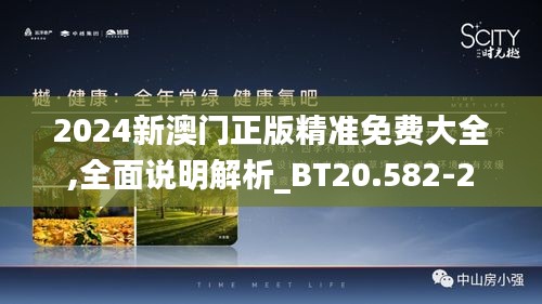 2024新澳门正版精准免费大全,全面说明解析_BT20.582-2