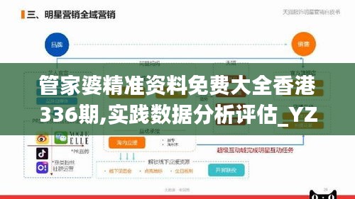 管家婆精准资料免费大全香港336期,实践数据分析评估_YZR64.643定制版