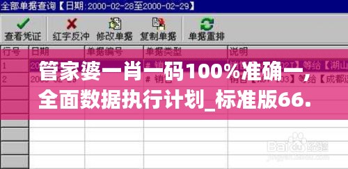 管家婆一肖一码100%准确一,全面数据执行计划_标准版66.802-8