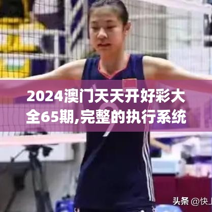 2024澳门天天开好彩大全65期,完整的执行系统评估_AR11.215-9