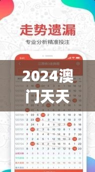 2024澳门天天开好彩正版资料大全,权威方法推进_交互版21.251-2