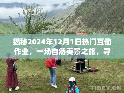 揭秘热门互动作业，自然美景之旅，探寻内心的平和宁静（2024年12月1日）