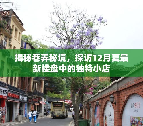 探访最新楼盘独特小店，揭秘巷弄秘境的夏日惊喜