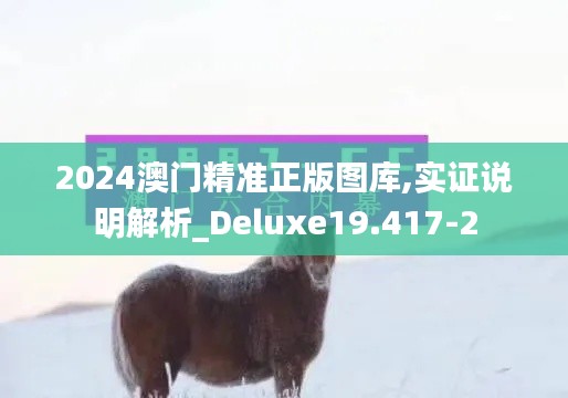 2024澳门精准正版图库,实证说明解析_Deluxe19.417-2