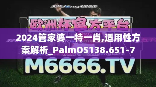 2024管家婆一特一肖,适用性方案解析_PalmOS138.651-7