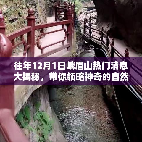 峨眉山十二月首日的热门新闻揭秘，自然与文化魅力的独特风采