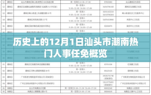 汕头市潮南区人事任免概览，历史12月1日重要人事变动回顾