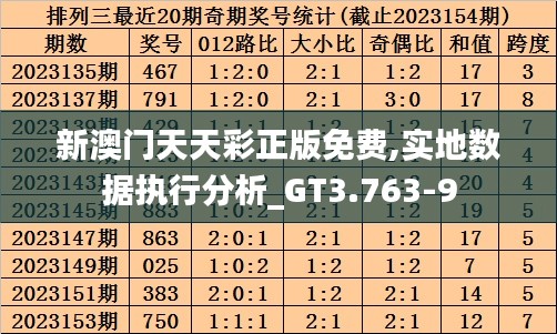 新澳门天天彩正版免费,实地数据执行分析_GT3.763-9