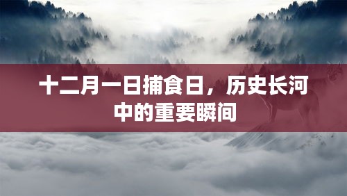 十二月一日捕食日，历史长河中定格的重要瞬间