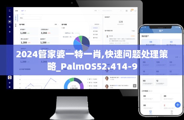 2024管家婆一特一肖,快速问题处理策略_PalmOS52.414-9