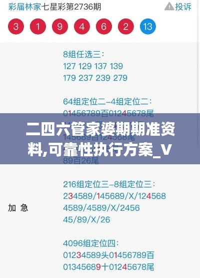 二四六管家婆期期准资料,可靠性执行方案_V19.371-2