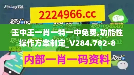 王中王一肖一特一中免费,功能性操作方案制定_V284.782-8