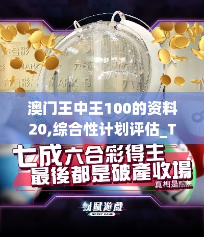 澳门王中王100的资料20,综合性计划评估_Tizen18.751-5