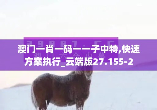 澳门一肖一码一一子中特,快速方案执行_云端版27.155-2