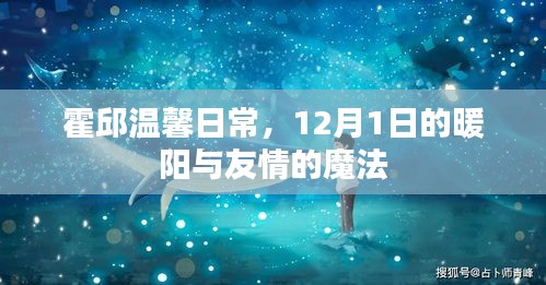 霍邱温馨日常，12月1日暖阳下的友情魔法