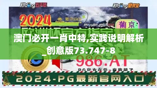 澳门必开一肖中特,实践说明解析_创意版73.747-8