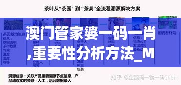 澳门管家婆一码一肖,重要性分析方法_MP15.246-9