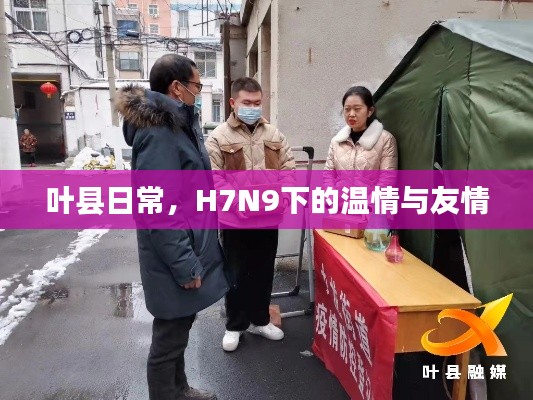 叶县日常，H7N9下的温情与友情的坚守