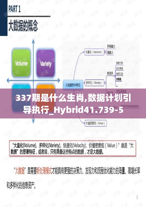 337期是什么生肖,数据计划引导执行_Hybrid41.739-5