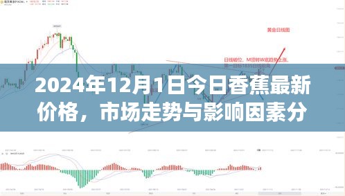 2024年香蕉最新价格走势及分析，市场趋势与影响因素探讨