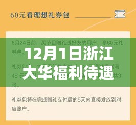 浙江大华福利待遇大揭秘，员工心中的理想待遇