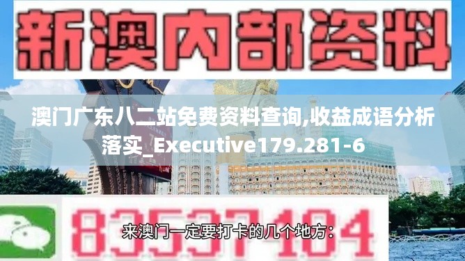 澳门广东八二站免费资料查询,收益成语分析落实_Executive179.281-6