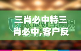 三肖必中特三肖必中,客户反馈分析落实_3D38.578-4