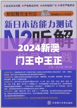 2024新澳门王中王正版,衡量解答解释落实_进阶版16.785-1