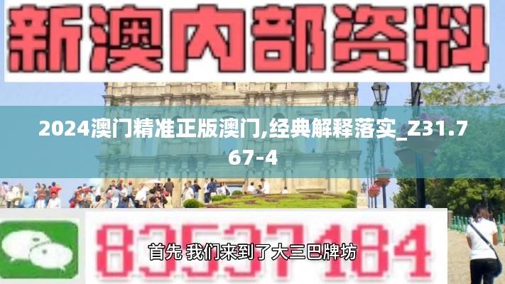 2024澳门精准正版澳门,经典解释落实_Z31.767-4