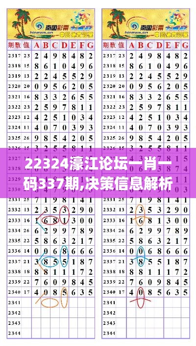 22324濠江论坛一肖一码337期,决策信息解析说明_进阶版171.229-1