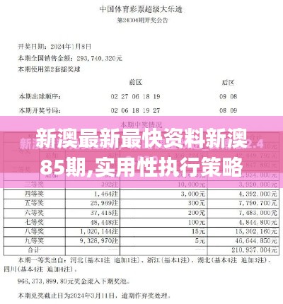 新澳最新最快资料新澳85期,实用性执行策略讲解_手游版179.586-3