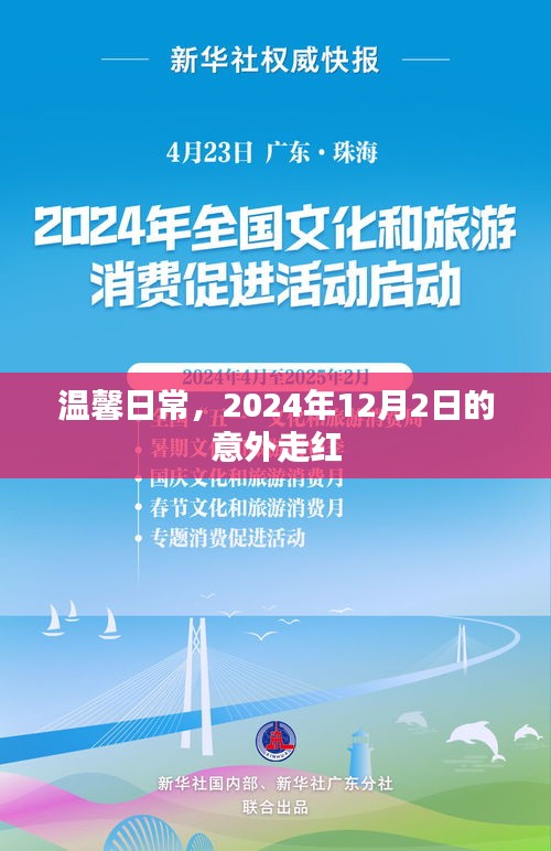 温馨日常中的意外走红，2024年12月2日的惊喜时刻