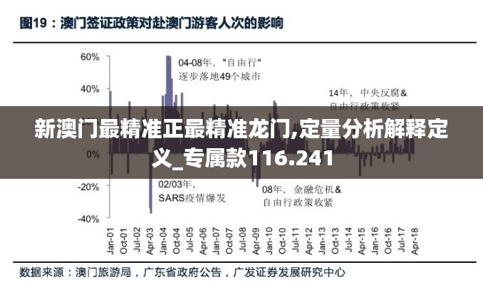 新澳门最精准正最精准龙门,定量分析解释定义_专属款116.241