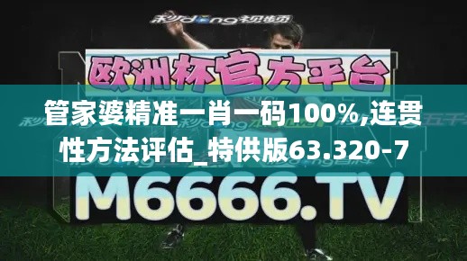 管家婆精准一肖一码100%,连贯性方法评估_特供版63.320-7