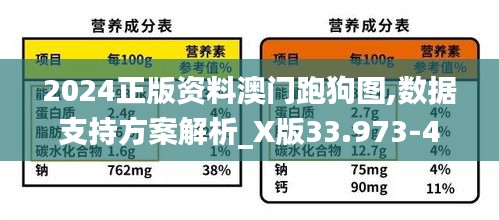 2024正版资料澳门跑狗图,数据支持方案解析_X版33.973-4