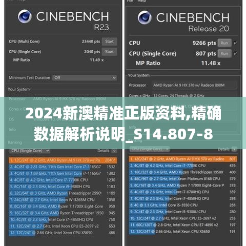 2024新澳精准正版资料,精确数据解析说明_S14.807-8