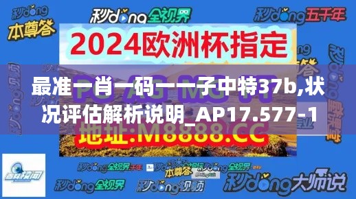 最准一肖一码一一子中特37b,状况评估解析说明_AP17.577-1