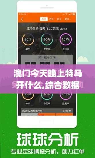 澳门今天晚上特马开什么,综合数据解析说明_静态版98.877-4