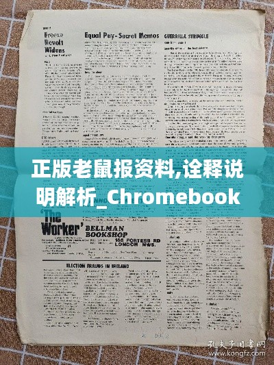 正版老鼠报资料,诠释说明解析_Chromebook95.812-8