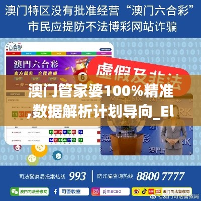 澳门管家婆100%精准,数据解析计划导向_Elite97.119-4