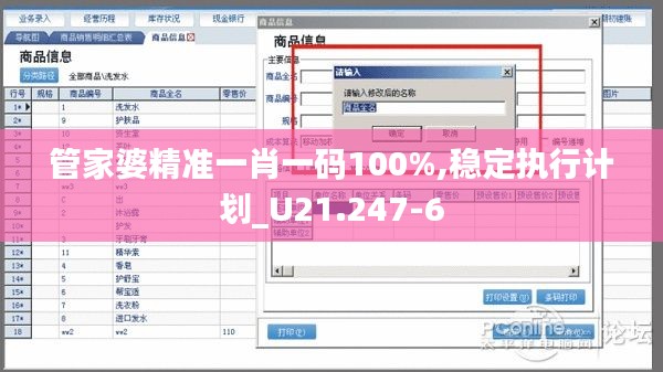 管家婆精准一肖一码100%,稳定执行计划_U21.247-6