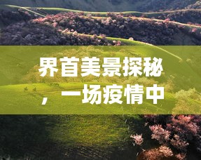 界首美景探秘，疫情中的自然之旅体验